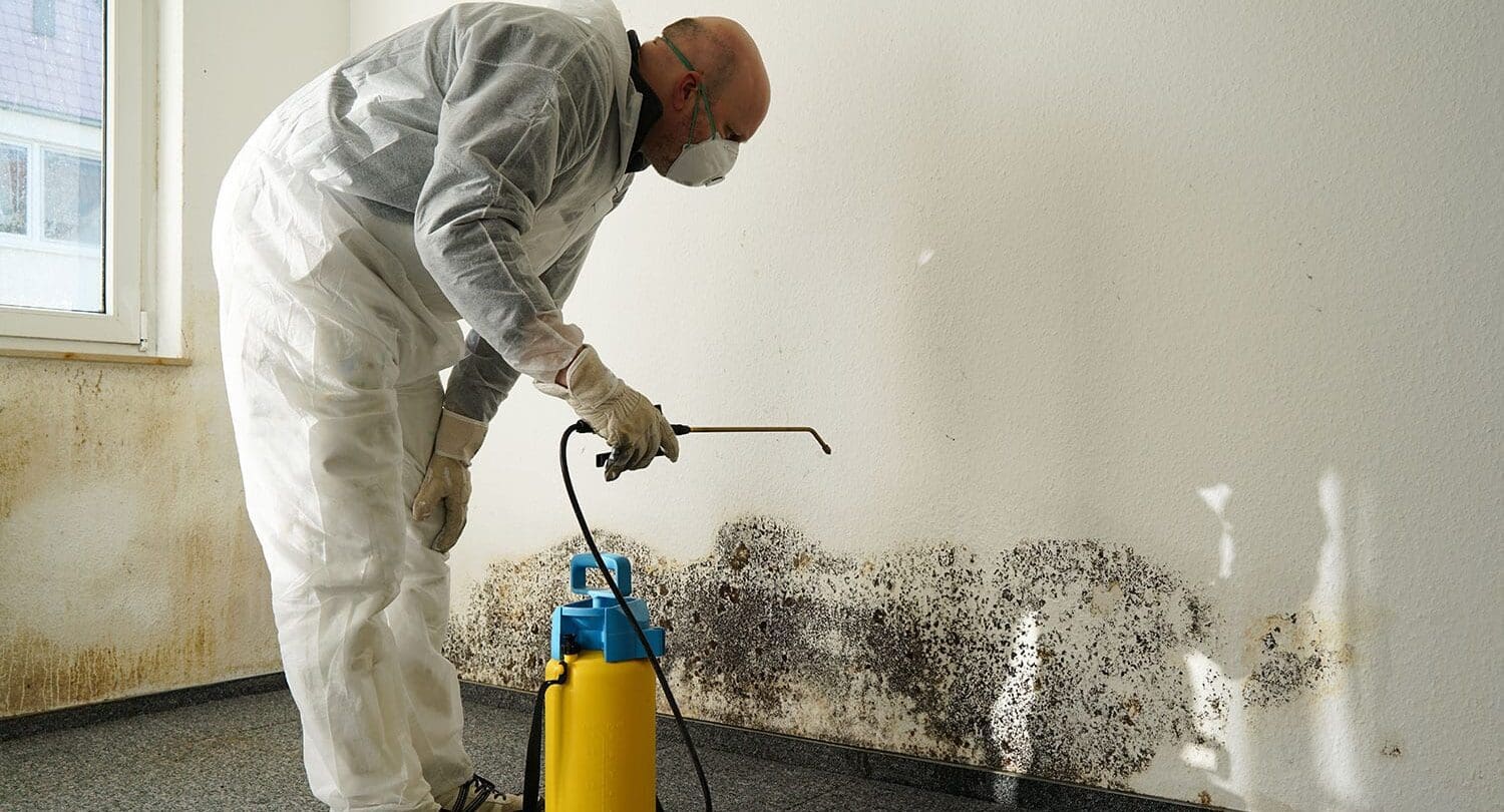 Mold Remediation In Cary Nc