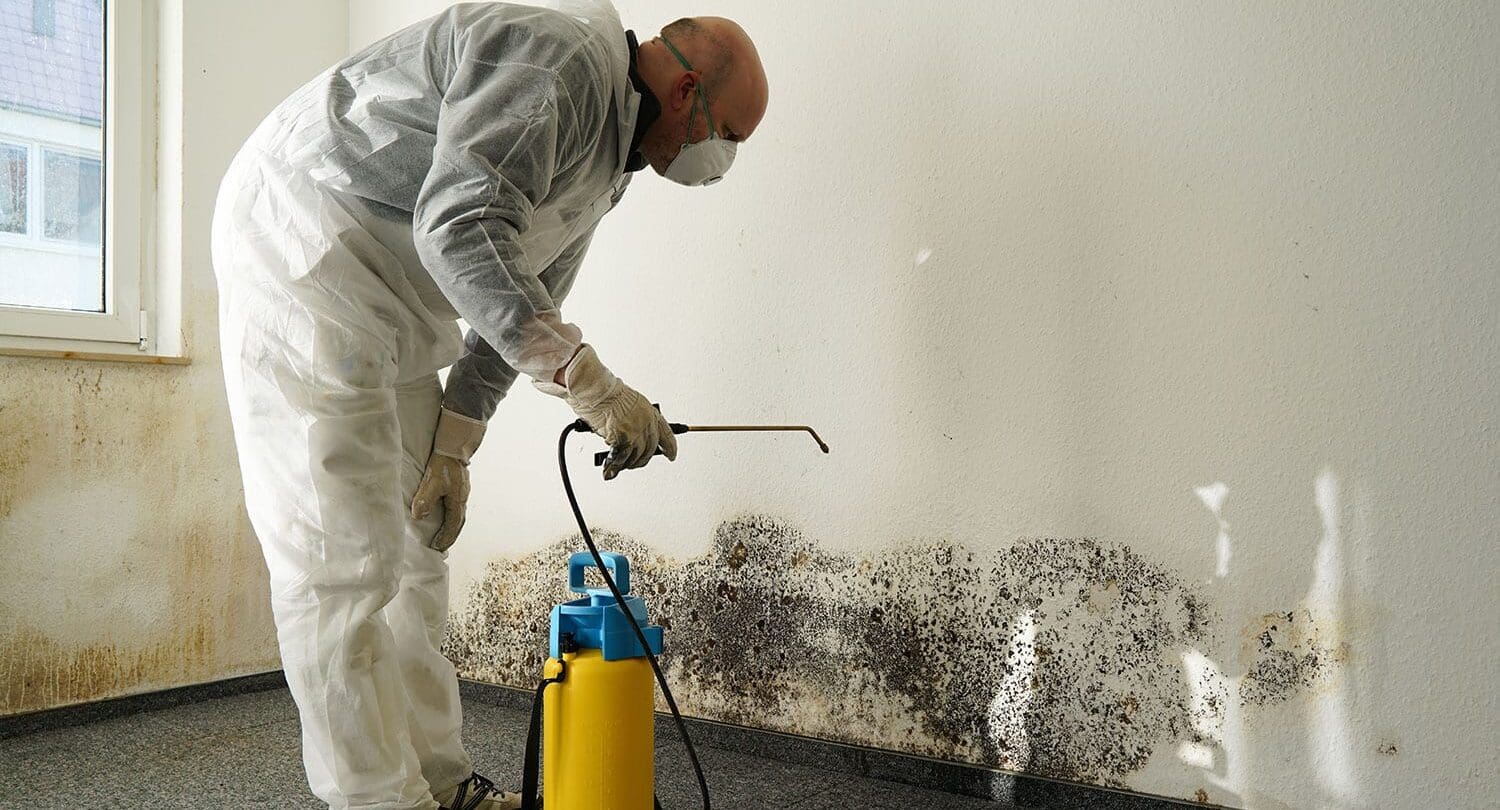 Mold Remediation In Smithfield Nc